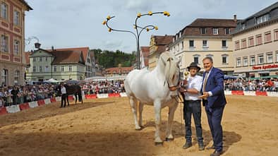 Schwäbische Ostalb - Pferdetag