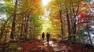Wandern im Herbst in Deutschland