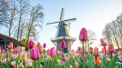 Reise Niedelande Lisse i