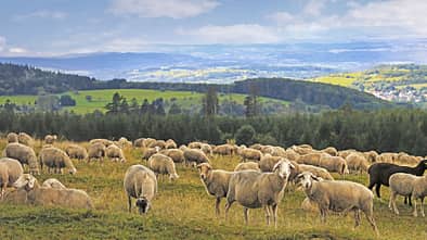 Reise Vogelsberg Naturpark f