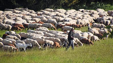 Schwaebische Alb  Ausflugf