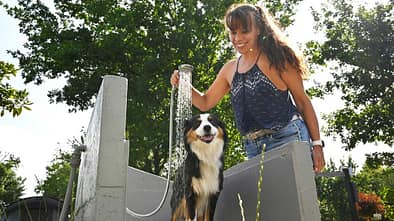 Falkensteinsee Dusche, Hund