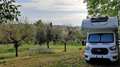 Feld, Bäume, Wohnmobil