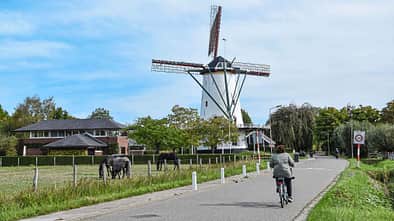 f_SPF-NL-Zeeland_Windmühle