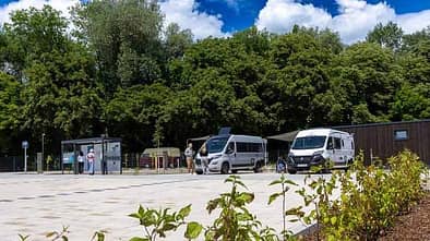 Stellplatz, Wohnmobile, Bäume