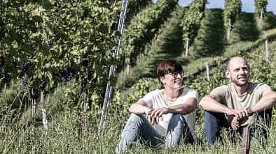 Weingut Idler