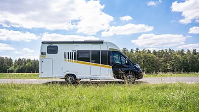 Frankia Now Teilintegrierter