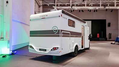 Corigon, Pure-Teilinterierte, von hinten