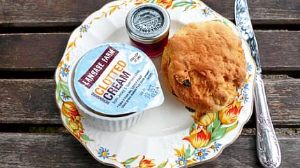 Mobil-Tour, Südengland, Cream Tea Clotted Cream, Marmelade und Scones