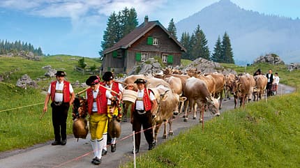 5 gute Gründe für das Appenzellerland, Alpfahrt, schwägalp Traditionelle Alpfahrt auf die Schwägalp.