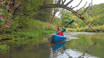 Meist fließt die Wiesent ruhig, es gibt nur wenige Stromschnellen.