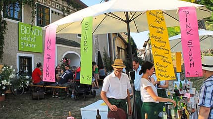 promobil, wohnmobil, reisemobil, stellplatz, weinviertel, wien 5 gute Gründe für das Weinviertel
