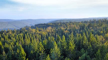 Mobil-Tour Nordschwarzwald