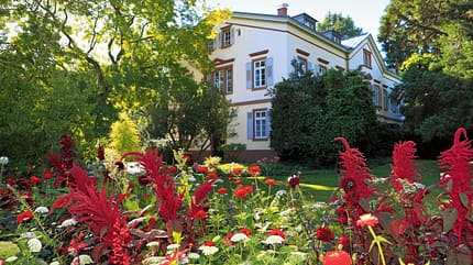 Ratgeber, Reise, Deutschland, Bergstraße, Weinheim, Blumen Über 2500 Staudenarten im Hermannshof