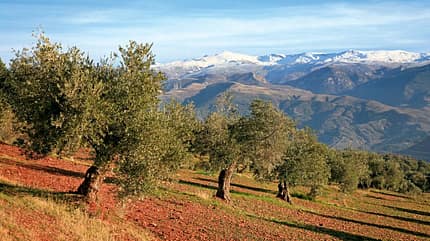 Costa del Sol Wandern