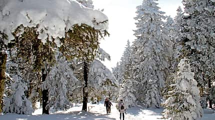 Mobil-Tour, Harz Mobil-Tour: Harz