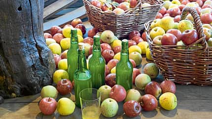 Reise-Tipp, Nordspanien, Sidra Reise-Tipp: Nordspanien, Sidra