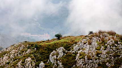 Reise-Tipp, Nordspanien, Picos de Europa Reise-Tipp: Nordspanien, Picos de Europa