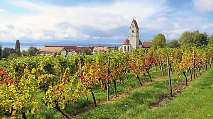 Oktober, Genießerferien, Bodensee. Genießerferien am Bodensee