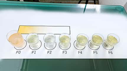 Befüllfilter, Test, Trinkwassser, Schwebstoffe, Aktivkohle, Vergleich, Sauber, Wasser, Reinigen Farbe
