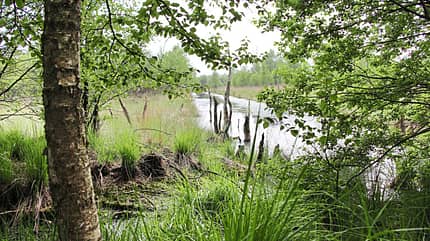 Reise, Emsland,Tipps Emsland