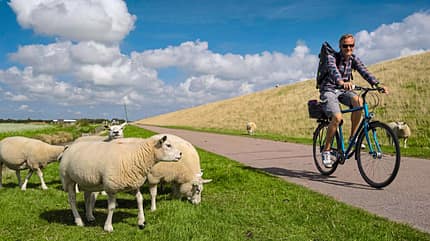 Texel,Radfahren Holland ist ideal zum Radfahren.