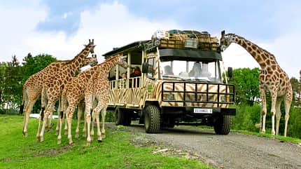 Reise-Tipps im Herbst