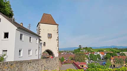 Markgräflerland, Schwarzwald, Freiburg, Badeort, Reise, Caravan, Wohnwagen, Campingplatz, Wein, Essen Breisach