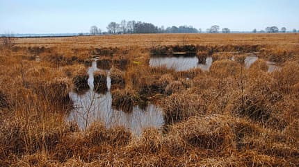 promobil, wohnmobil, reise-tipp, ostfriesland, winter, nordsee Reise-Tipp Ostfriesland