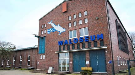 promobil, wohnmobil, reise-tipp, ostfriesland, winter, nordsee Reise-Tipp Ostfriesland