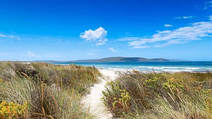 australien, insel, natur, wüste, landschaft, wohnmobil, camping, strand, surfer, mobil, tour MT Westaustralien Pazifikküste