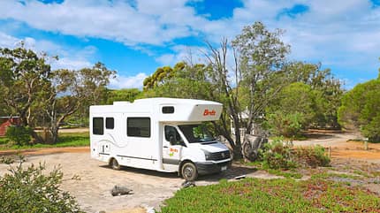 MT Westaustralien Natur-Camp Quaalup