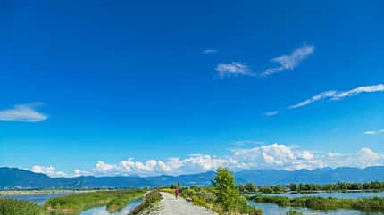 caravaning, caravan, camping, urlaub, bodensee, seeblick Camping am Bodensee