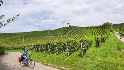caravaning, caravan, camping, urlaub, bodensee, seeblick Camping am Bodensee