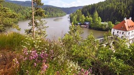 bayerischer, wald, bayern, natur, stellplatz, camping, wohnmobil, promobil, wandern, wasser, Südbayern Stausee