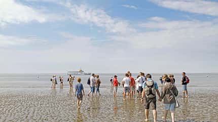 nordsee, sankt, peter, ording, schleswig, holstein, norddeutschland Wattwanderung