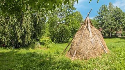 wohnmobil, rumänien, wilde, schönheit Reise-Tipp Rumänien
