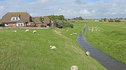 Nordfriesland, Strand, Watt, Nordwind, Reise, Wohnmobil, Campingplatz, Stellplatz Halbinsel Nordstrand