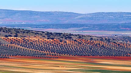 Zentralspanien, Spanien, Südspanien, Marokko, Tipp, 5 gute Gründe, Süden, Urlaub, Reise, Wohnmobil, Kastilen, La Mancha Zentralspanien