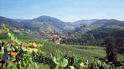 Badische Weinstrasse