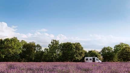 Leser auf Tour Provence Leser auf Tour Provence