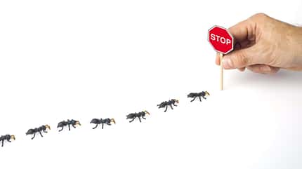 Schutz, Ungeziefer, Wohnmobil, Hilfe, Tipps, Maus, Winterlager Schutz vor Ungeziefer