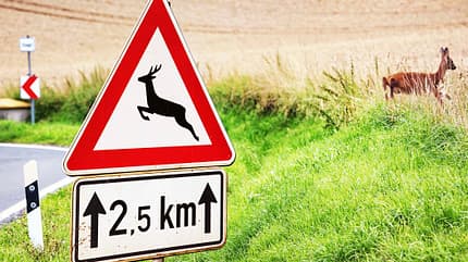 Versicherung, Wohnmobil, Reise, Tarife, Camping, Anbieter, Unfall, Wild Versicherung Wohnmobil