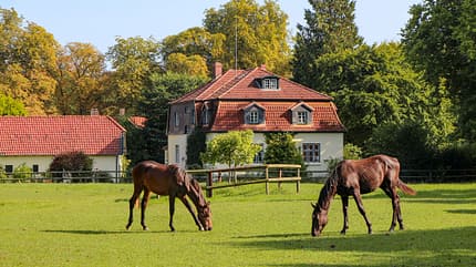 Holstein, Kiel, Bucht, Strand, Norddeutschland, Reisen, Camping Kieler Bucht und Ostholstein