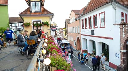 Reise-Tipp Pfalz 