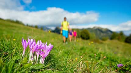 OD 2019 fruehling-familie-wandern-COLOURBOX28656045.jpg OD 2019 fruehling-familie-wandern-COLOURBOX28656045.jpg