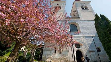 Kärnten, Millstätter Seem Camping, Familien, Genießer, Österreich Millstätter See Kärnten