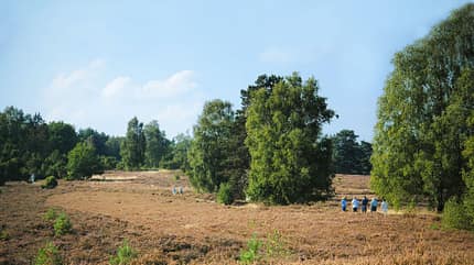 Südheide Reise