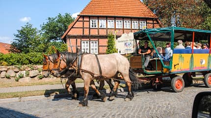 Lüneburger Heide,Reise,Mühlen Südheide Reise