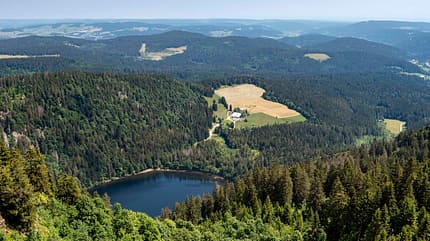 Schwarzwald, Reise, Wohnmobil, Baden-Württemberg, Mobiltour, Wald, Berge, Tradition Schwarzwald Wohnmobil-Reise